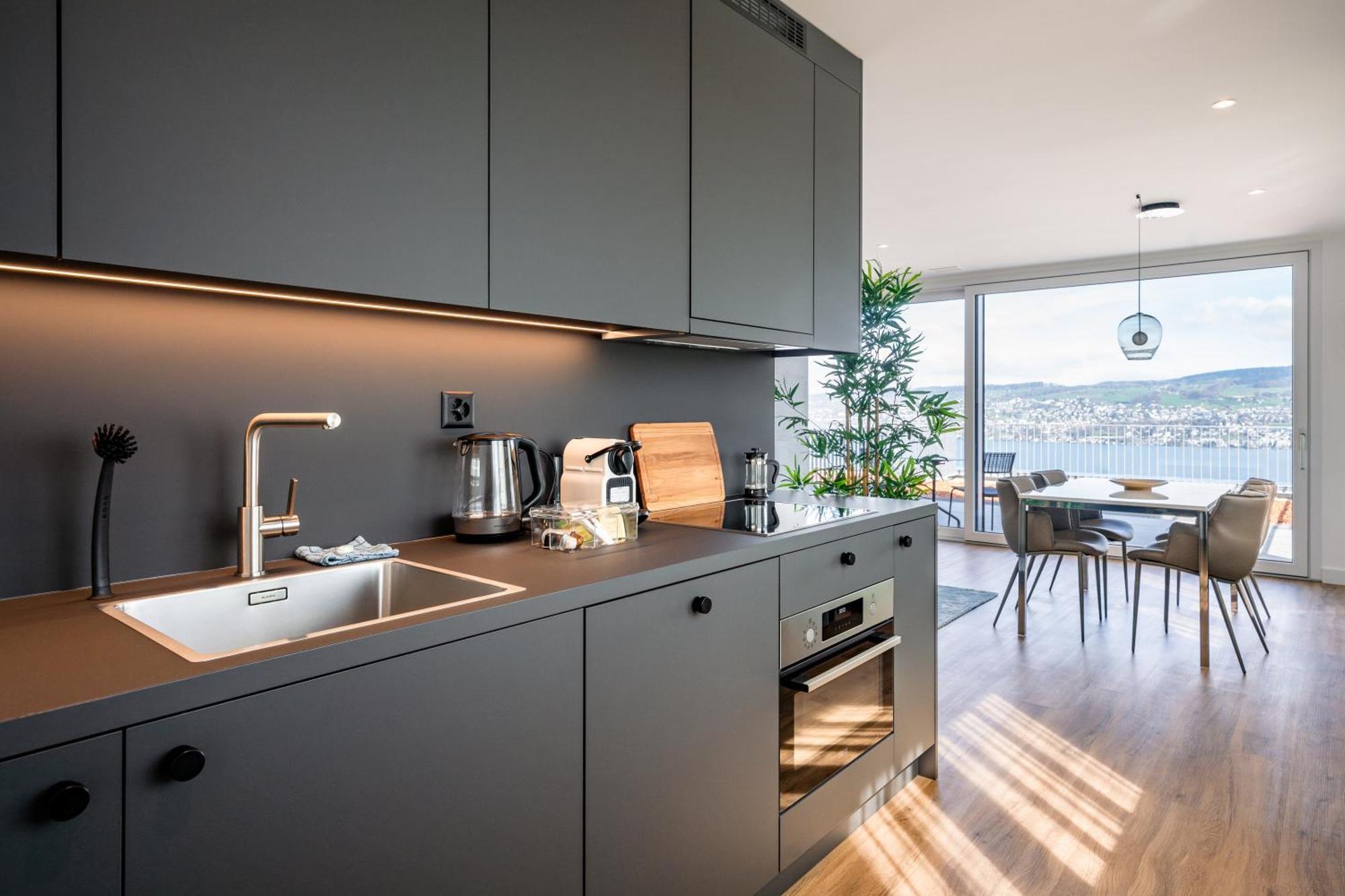 Aestate Living Lakeview In Horgen Zuerich Zug Pfaeffikon Eksteriør bilde